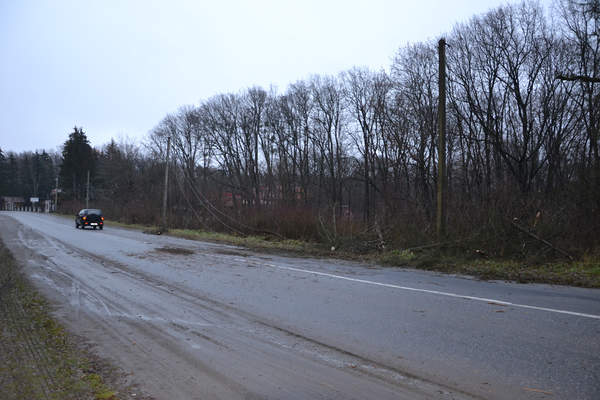 Dsc 0807