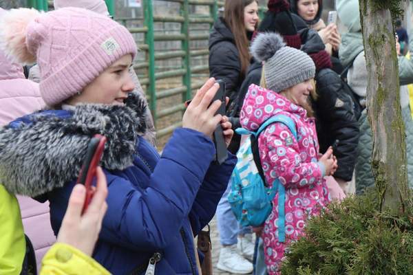 Photo 13 2024 03 20 15 07 04