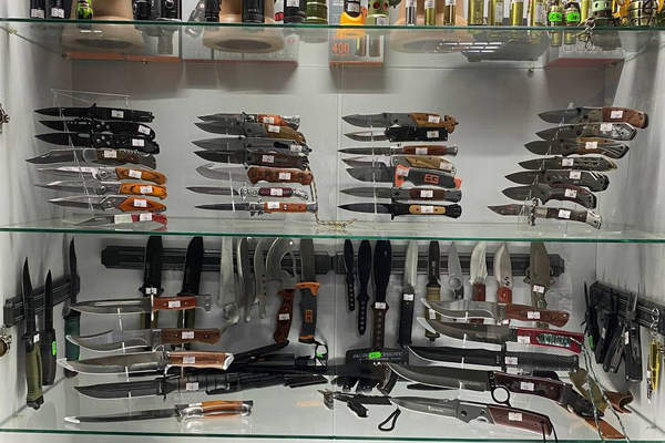 502737796 1841781496616928 1616481277700568994 n