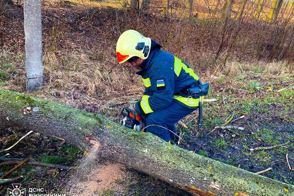 669157953 1433906372082248 3369030908439727478 n