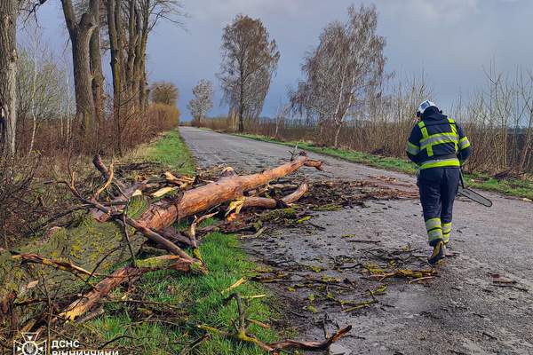 669318146 1433906208748931 4664330947938223838 n