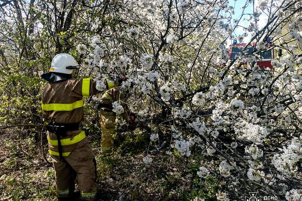 680600064 1449102153896003 4788074609380443795 n