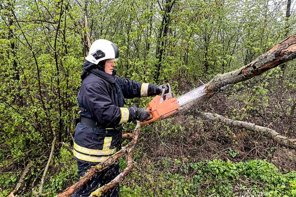 680163402 1449102093896009 7110107872248134178 n