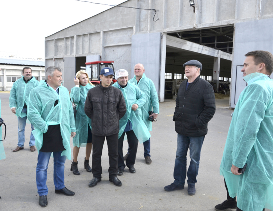 Є на що подивитись  і є чому повчитись