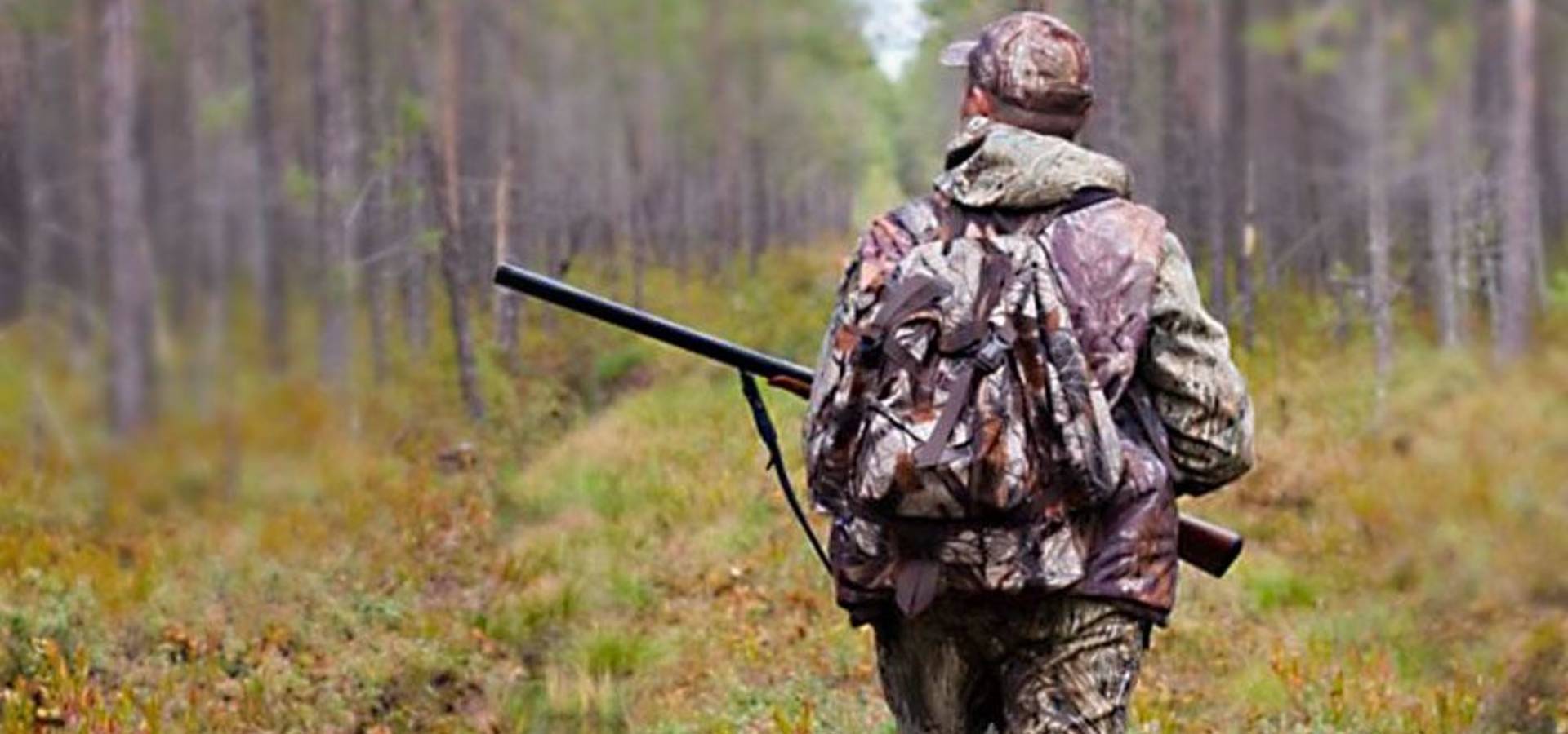 У вихідні в лісі будьте обережними!