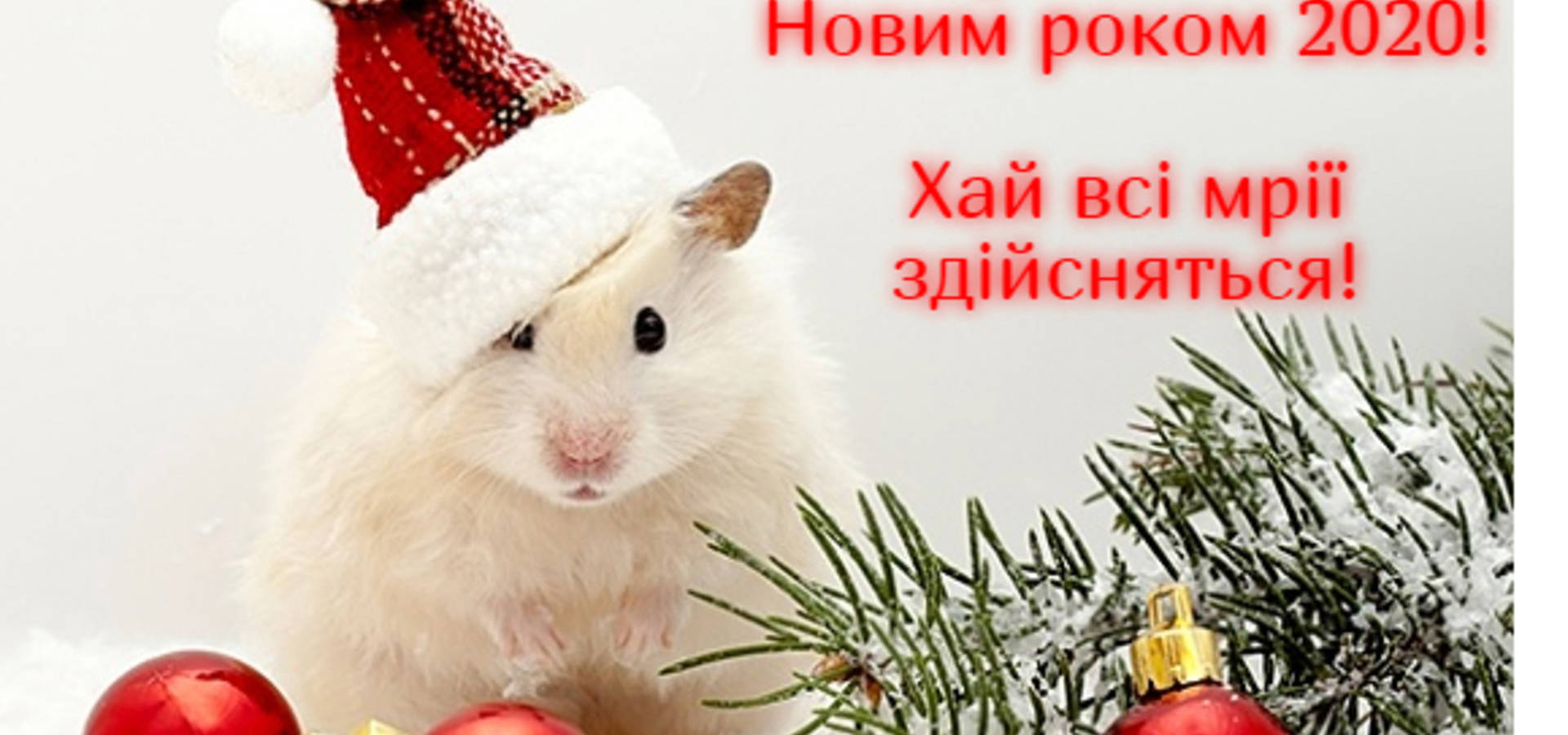 З Новим 2020 роком!