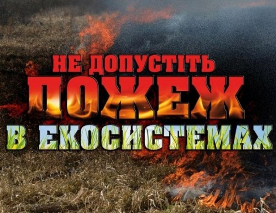 40 пожеж в екосистемах, з них — дві лісові пожежі стались минуої доби на Вінниччині 