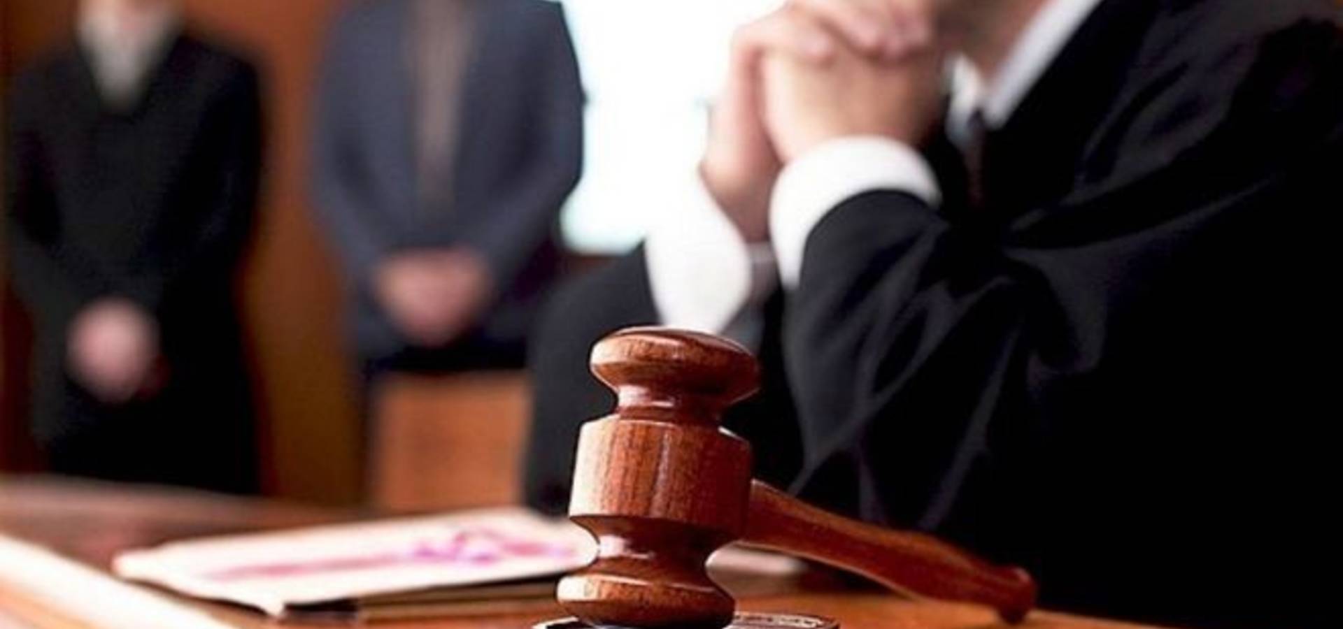 Одного з керівників Хмільницького лісгоспу судитимуть за незаконну порубку дерев
