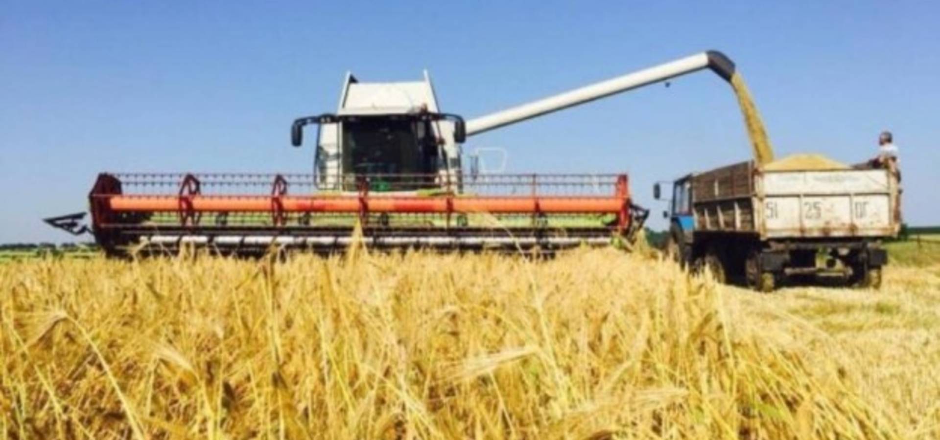 Перший мільйон тонн зерна намолотили на Вінниччині