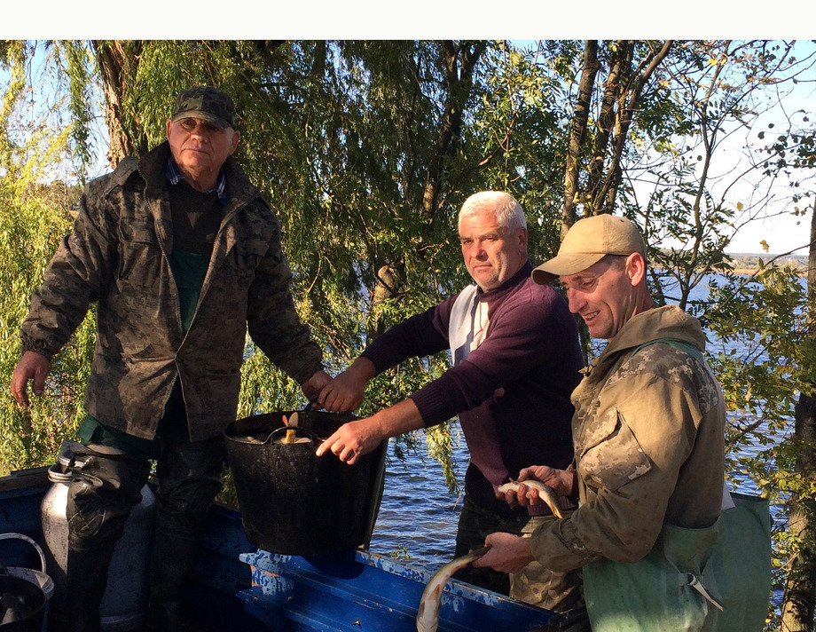 Широкогребельське водосховище поповнилось зарибком