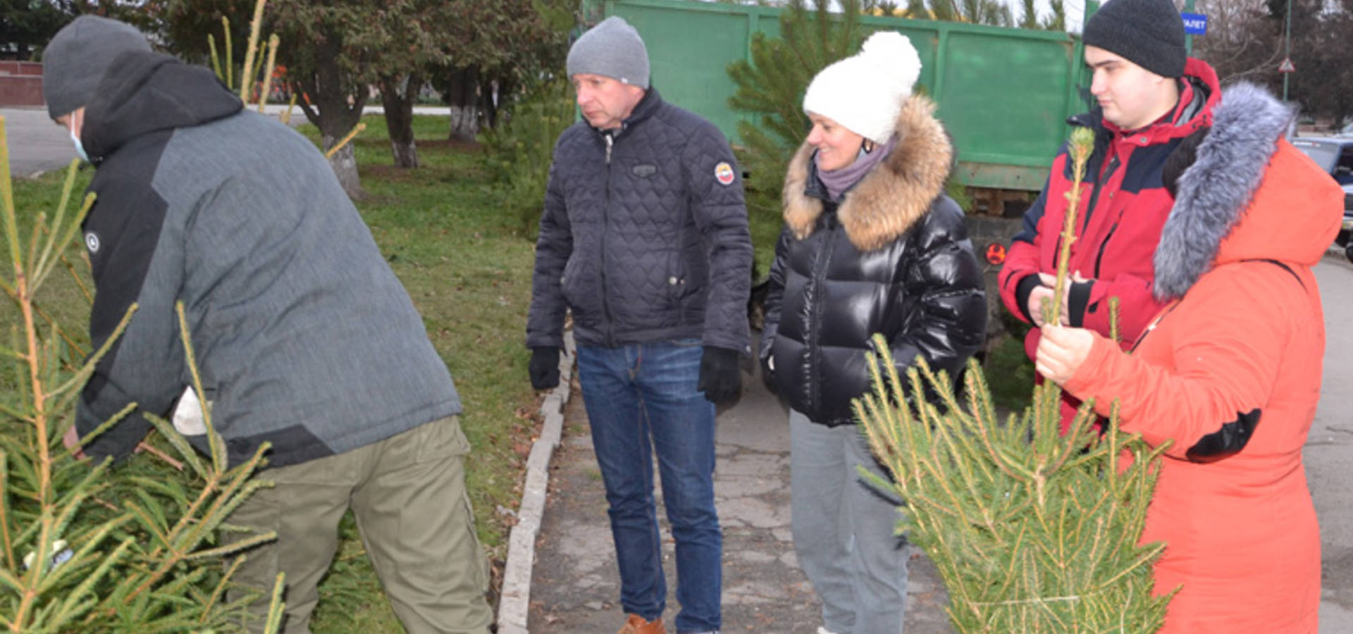 В Хмільнику на Вінниччині розпочався продаж новорічних ялинок