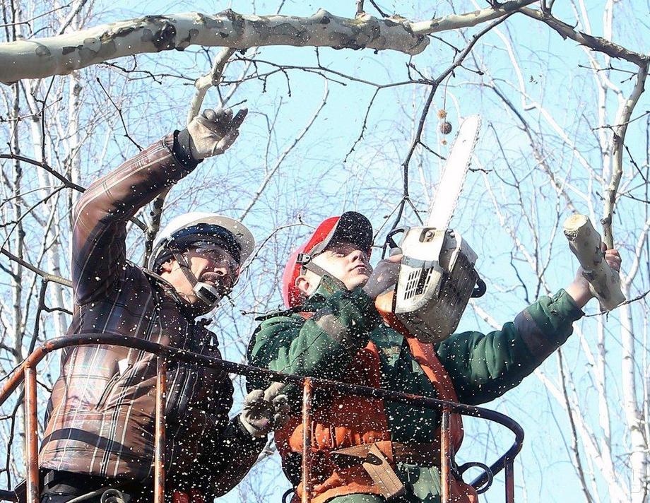 З 4 по 16 січня на Хмільниччині будуть перебої з постачанням електроенергії