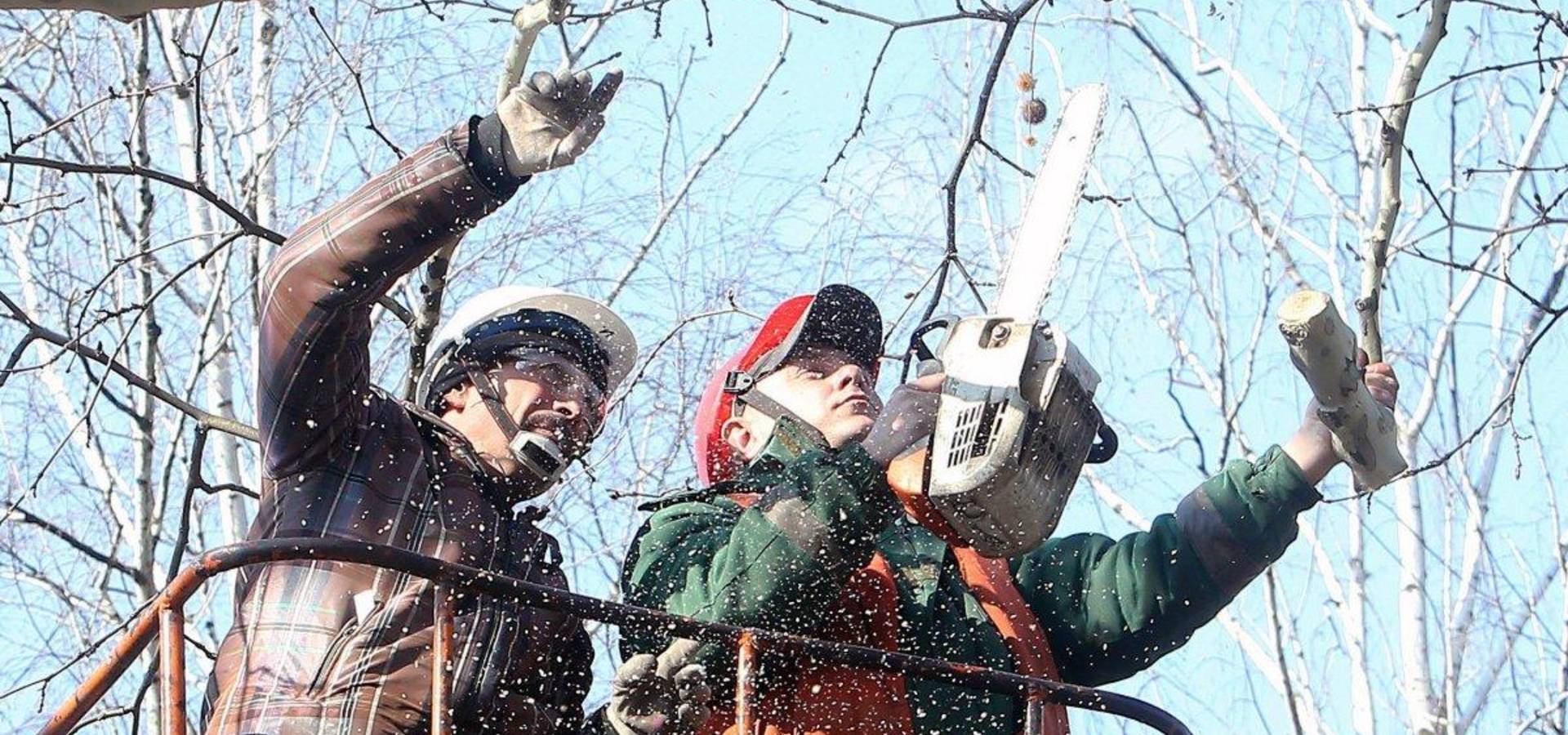 З 4 по 16 січня на Хмільниччині будуть перебої з постачанням електроенергії