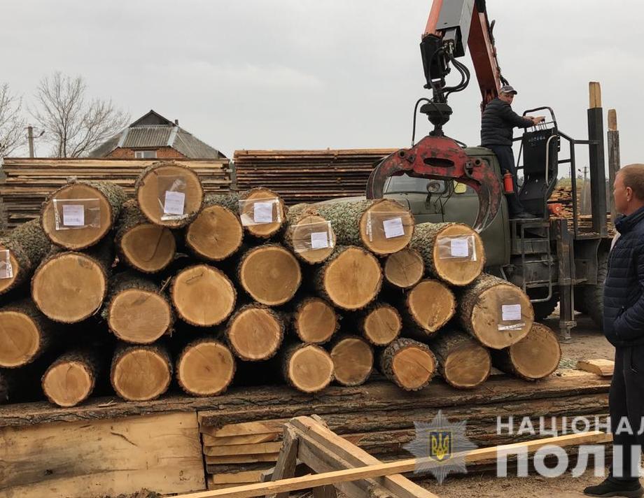 На Вінниччині затримали організовану злочинну групу, яка збувала ліс за кордон