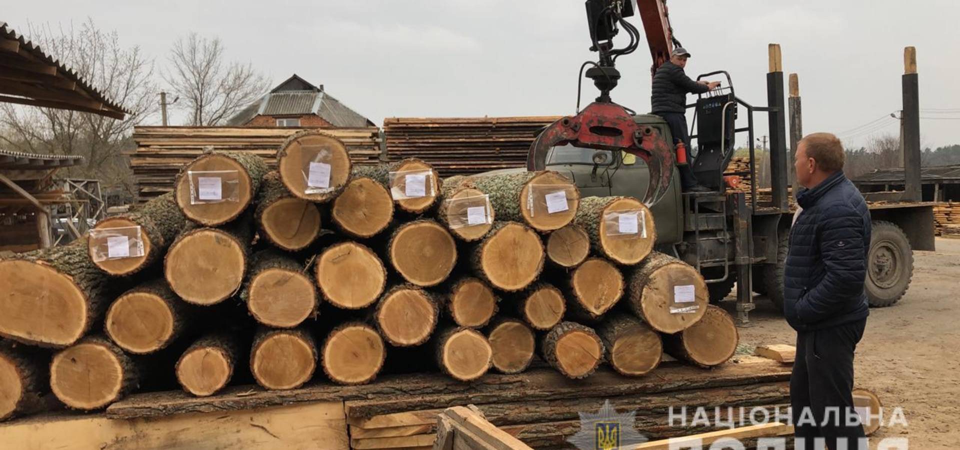 На Вінниччині затримали організовану злочинну групу, яка збувала ліс за кордон