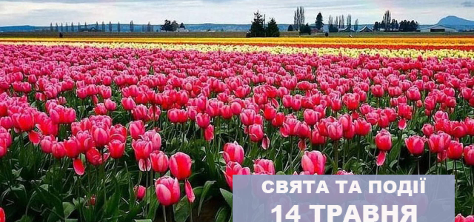 14 травня. Що відзначають в цей день та прикмети