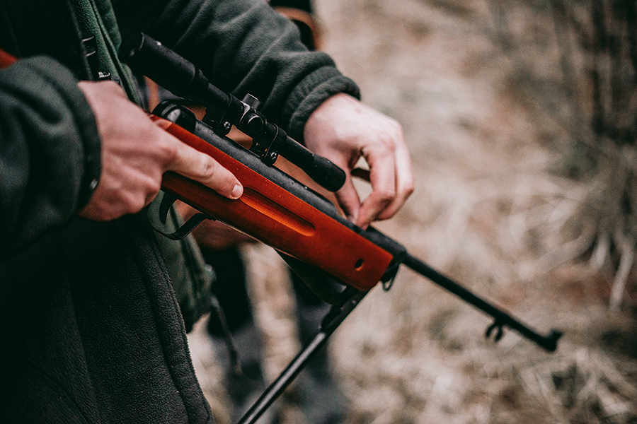 Sebastian pociecha rpz2i7ugtvm unsplash
