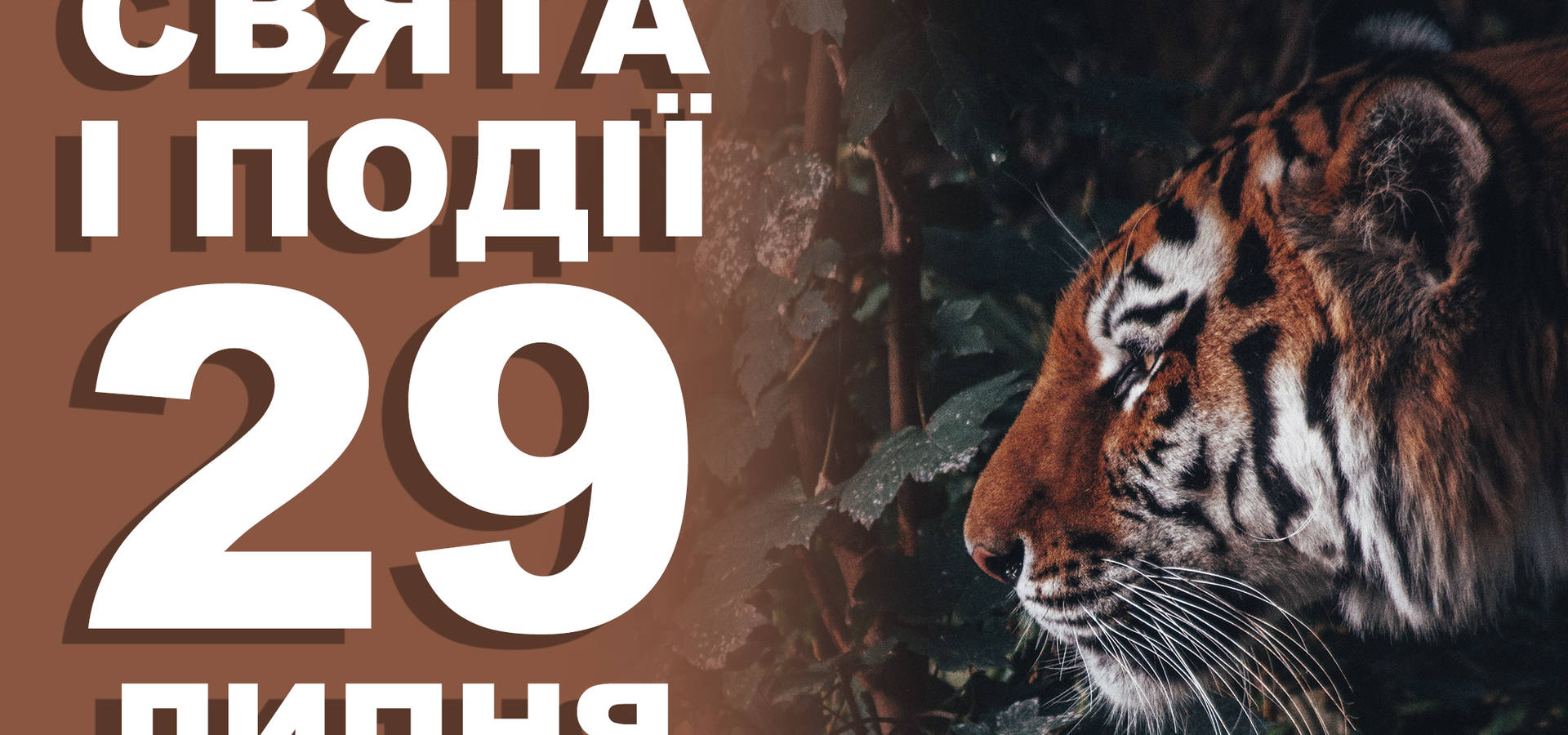 29 липня. Що відзначають у цей день та прикмети
