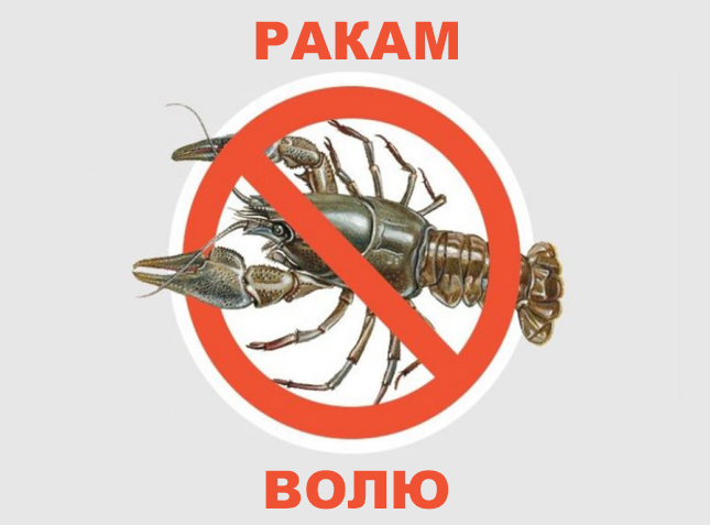 %d0%a0%d0%b0%d0%ba%d0%b0%d0%bc %d0%b2%d0%be%d0%bb%d1%8e