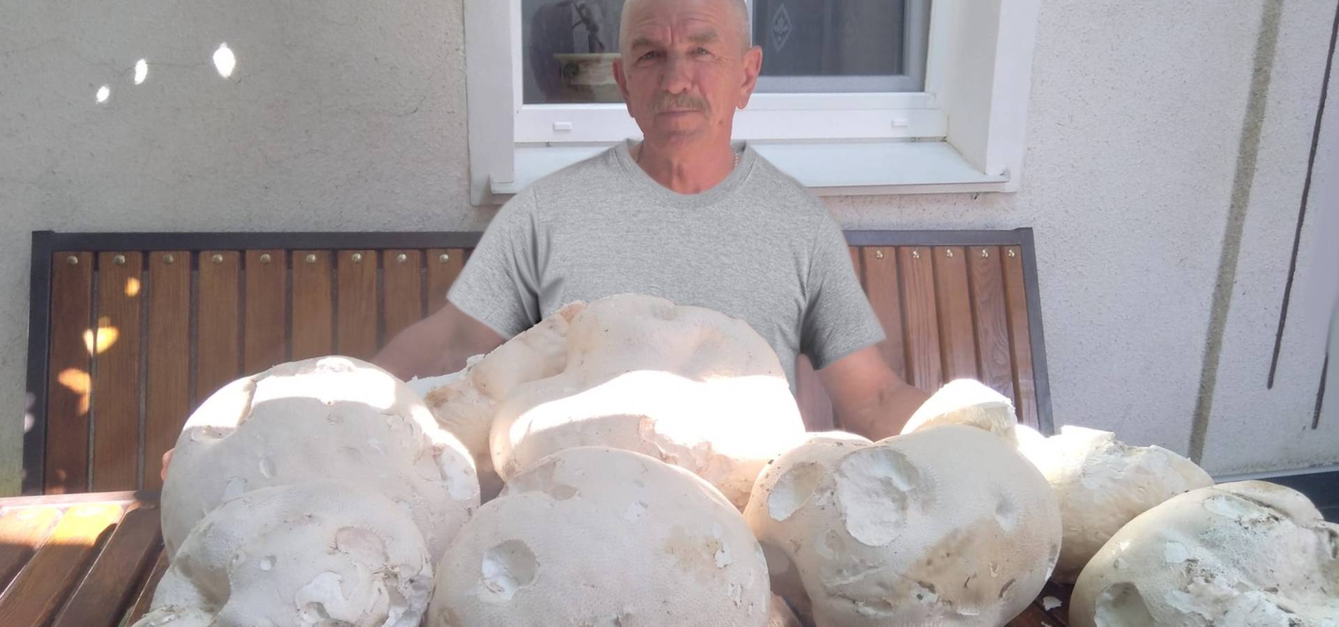 У Хмільнику чоловік знайшов гриби-велетні