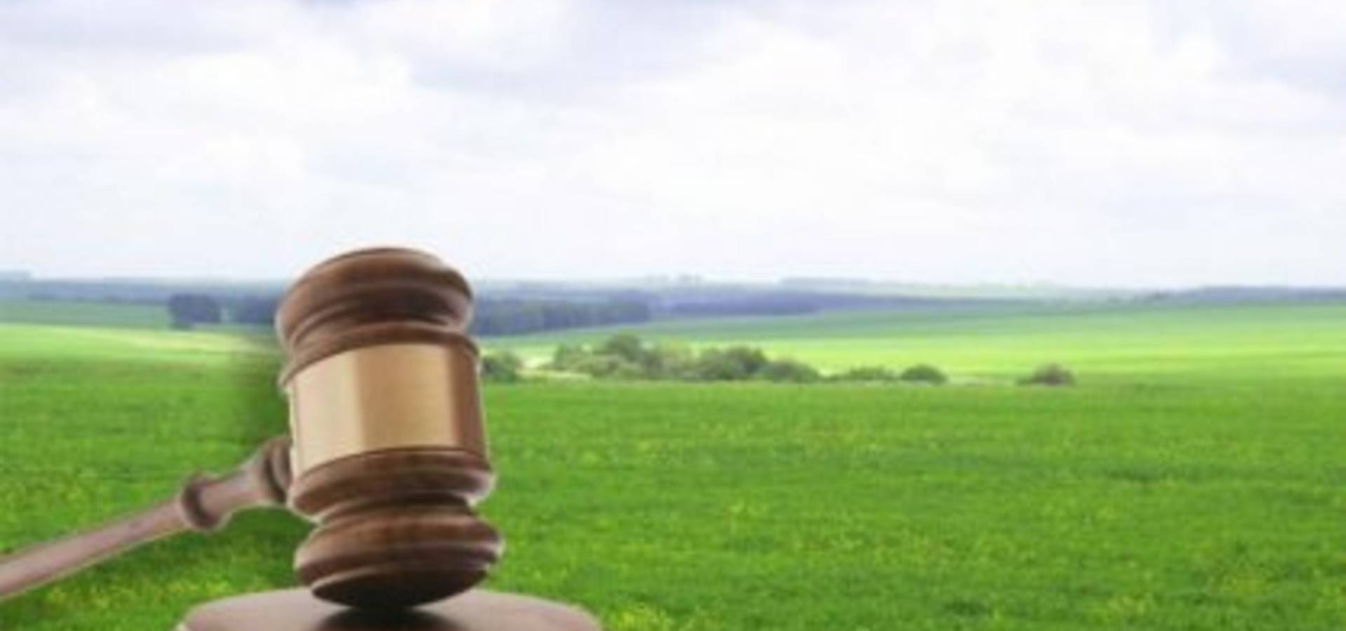 Війтівецькій громаді на Вінниччині повернуто 4 гектари землі