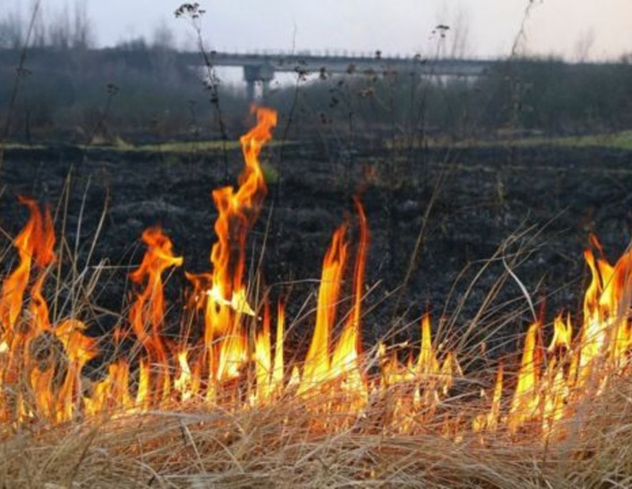 У Хмільнику паліїв попередили про кримінальну відповідальність