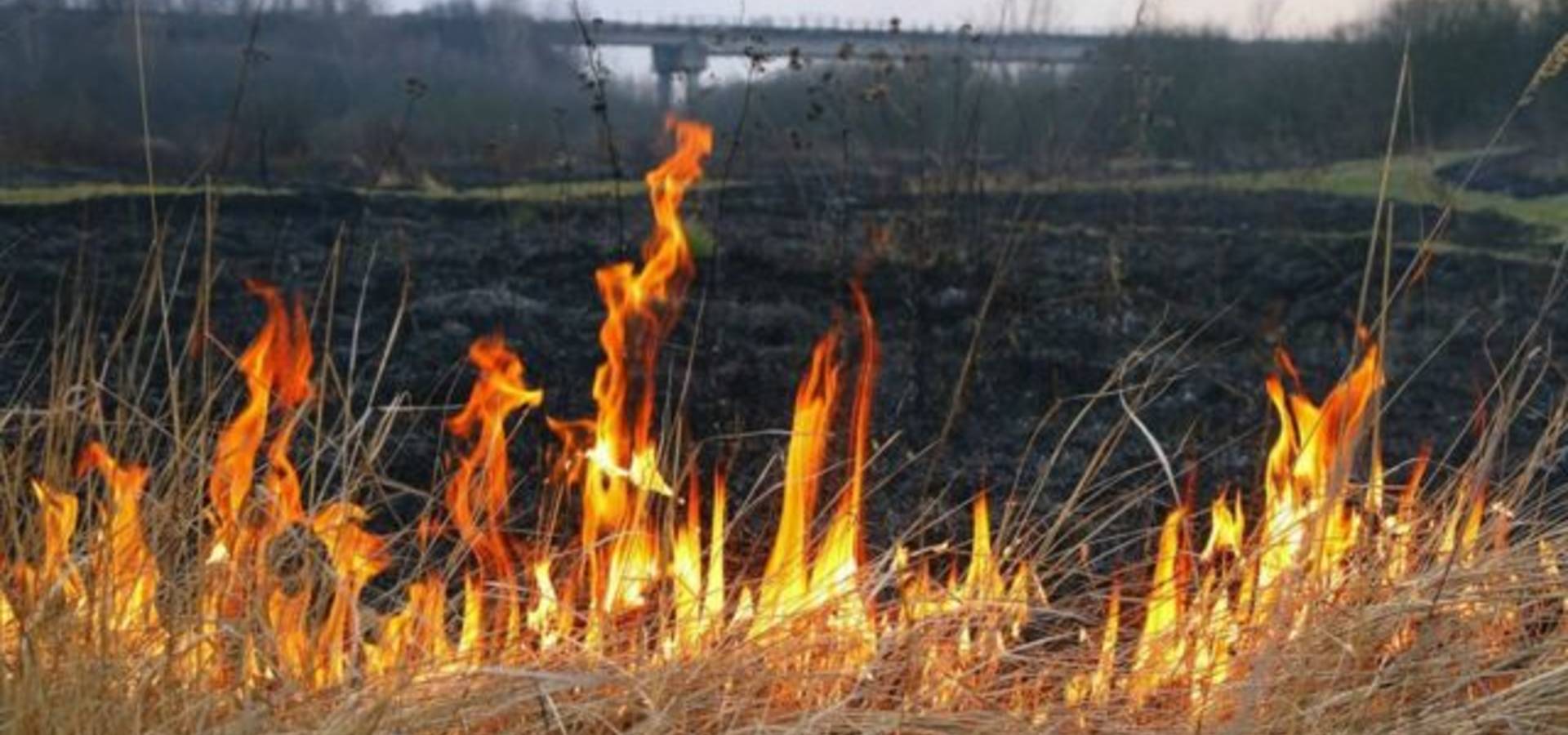 У Хмільнику паліїв попередили про кримінальну відповідальність