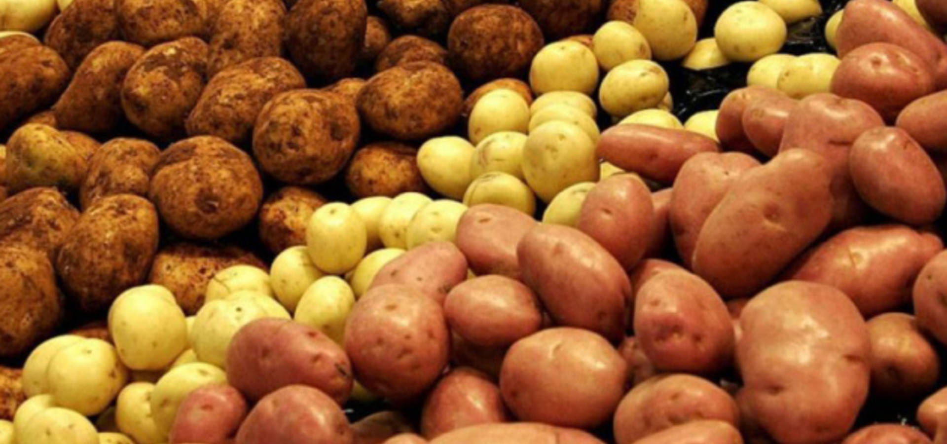 Білорусь купує картоплю з України
