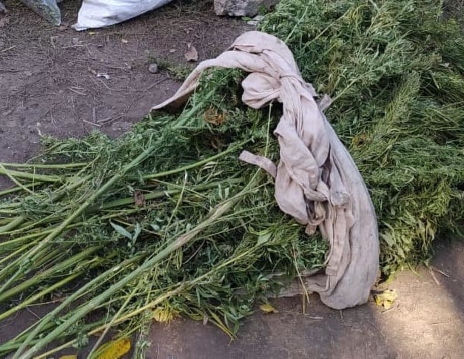 У жителя Хмільницького району знайшли наркотики
