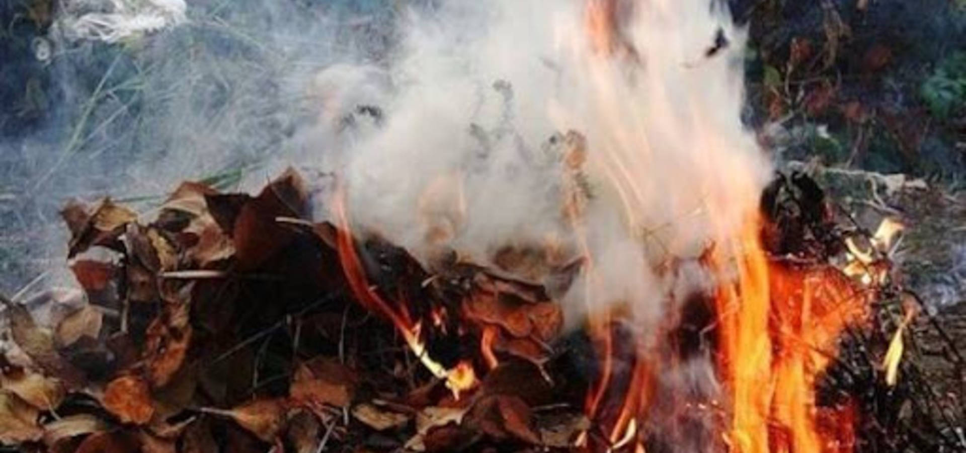 Паліїв міста вкотре попереджають про кримінальну відповідальність