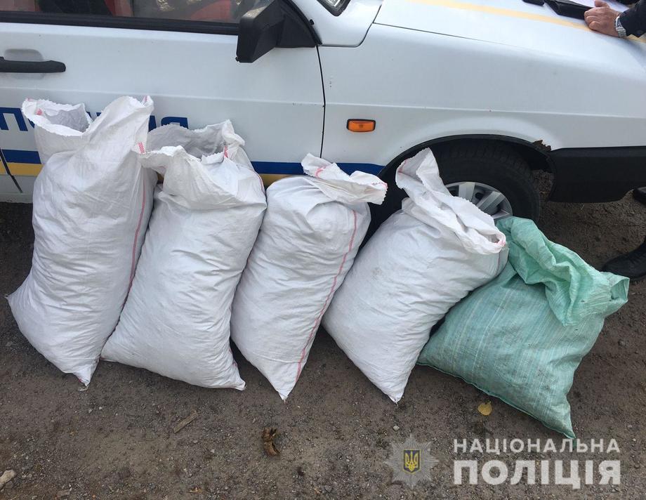 У жителя Хмільницького району виявили близько тридцяти кілограмів канабісу