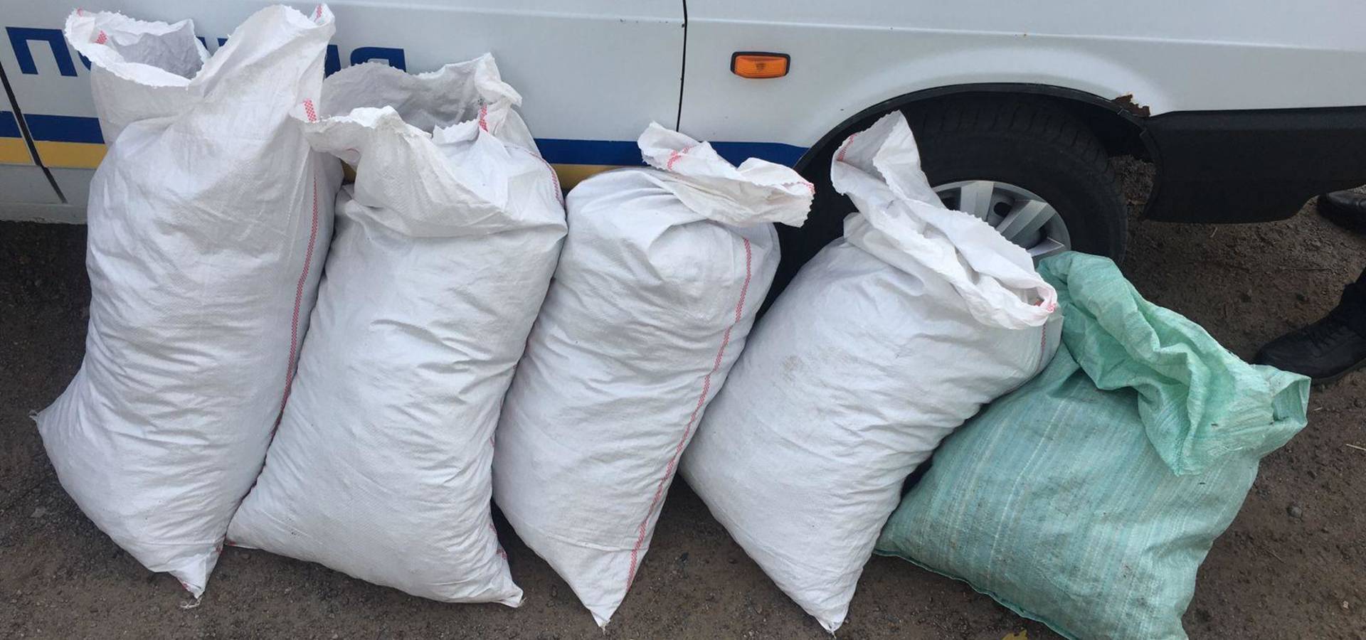 У жителя Хмільницького району виявили близько тридцяти кілограмів канабісу