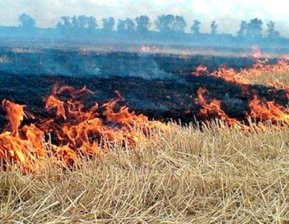 В Хмільницькому районі горіли тюки соломи