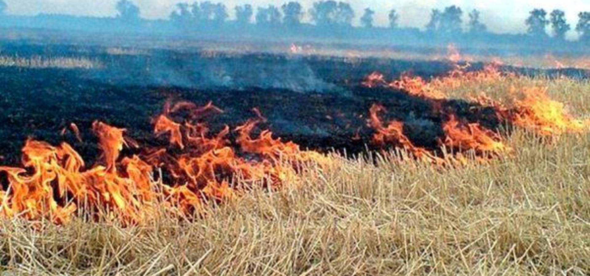 В Хмільницькому районі горіли тюки соломи