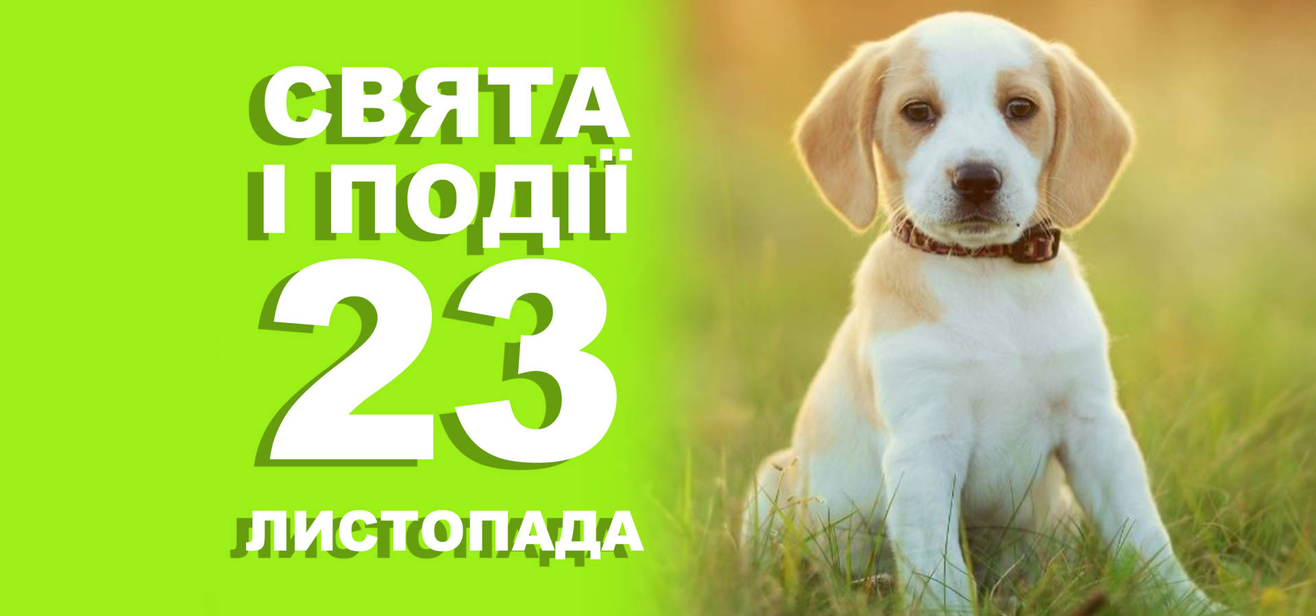 23 листопада. Що відзначають у цей день та прикмети