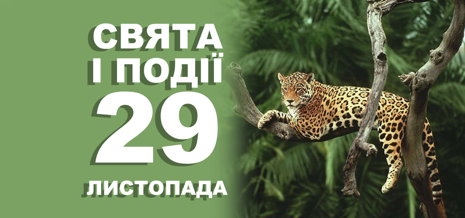 29 листопада. Що відзначають у цей день та прикмети