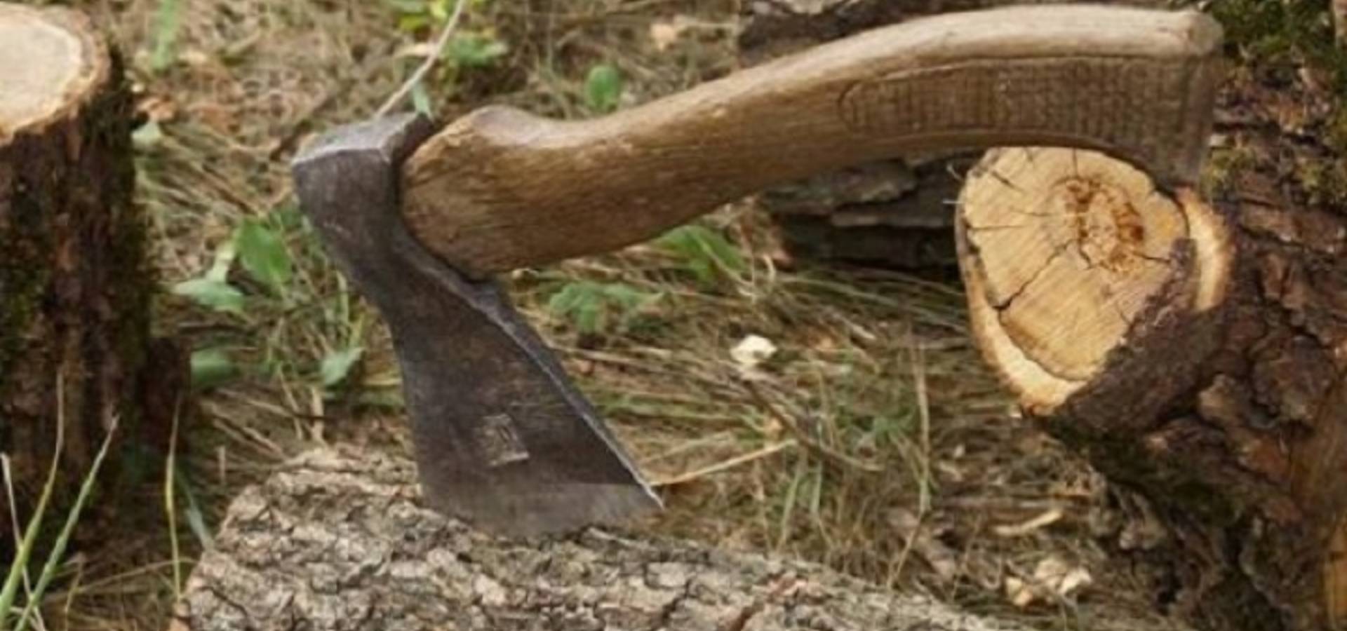 У Хмільницькому районі незаконно вирубували ліс