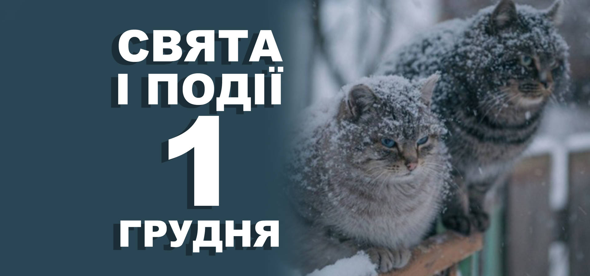 1 грудня. Що відзначають у цей день та прикмети