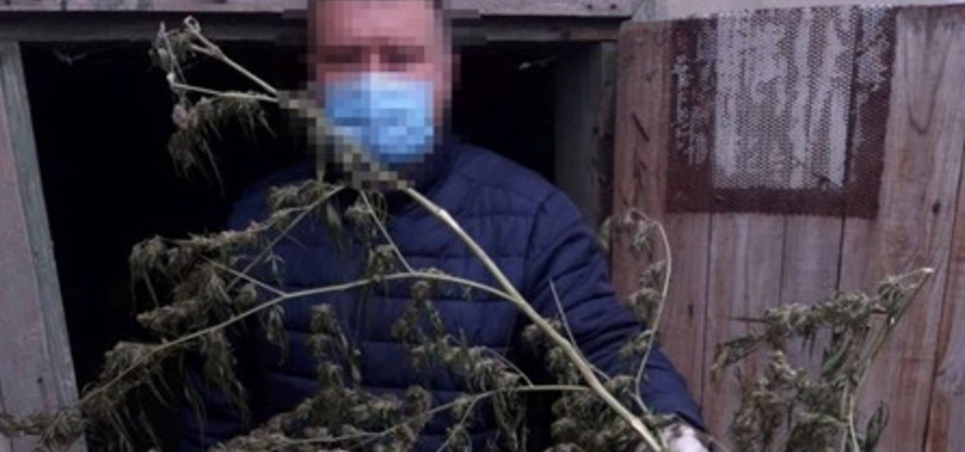 На Вінниччині чоловік вдома зберігав коноплі на 700 тисяч гривень