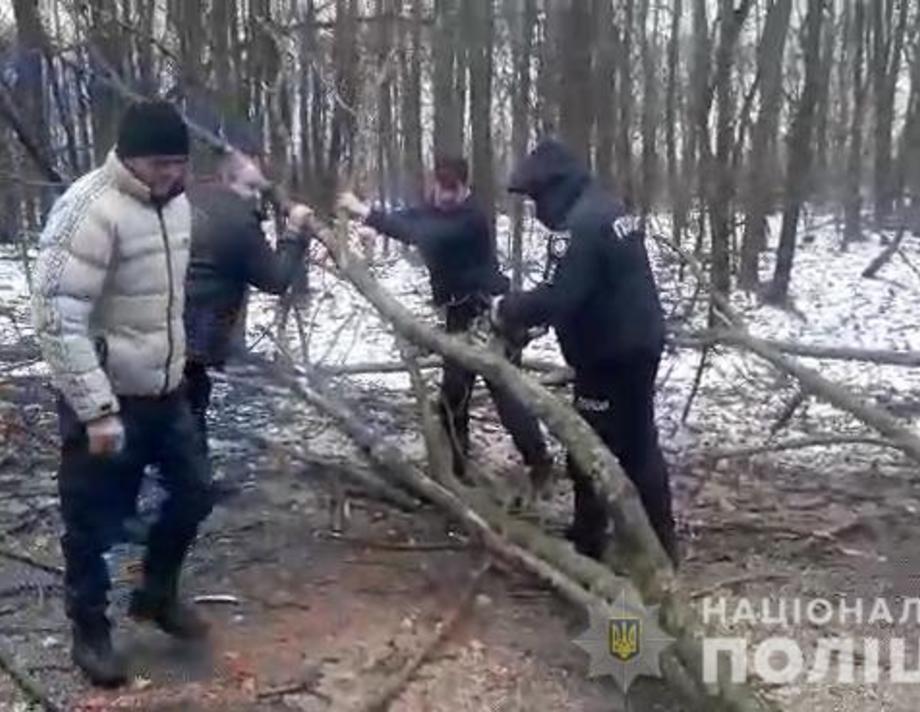 У Хмільницькому районі через негоду на дорогу впали дерева(відео)