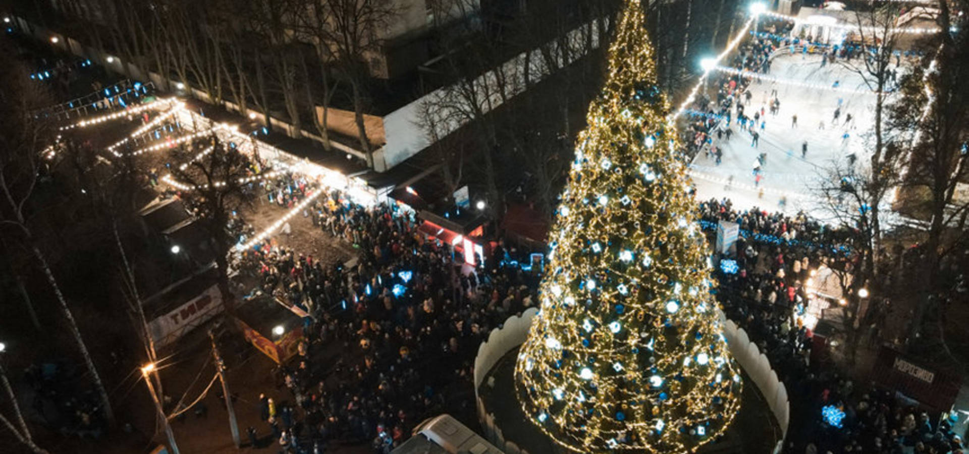 Вінницька ялинка стала найкращою в Україні