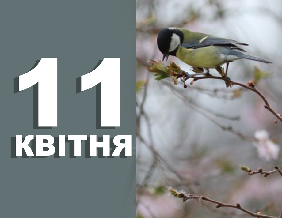 11 квітня. Що відзначають у цей день та прикмети