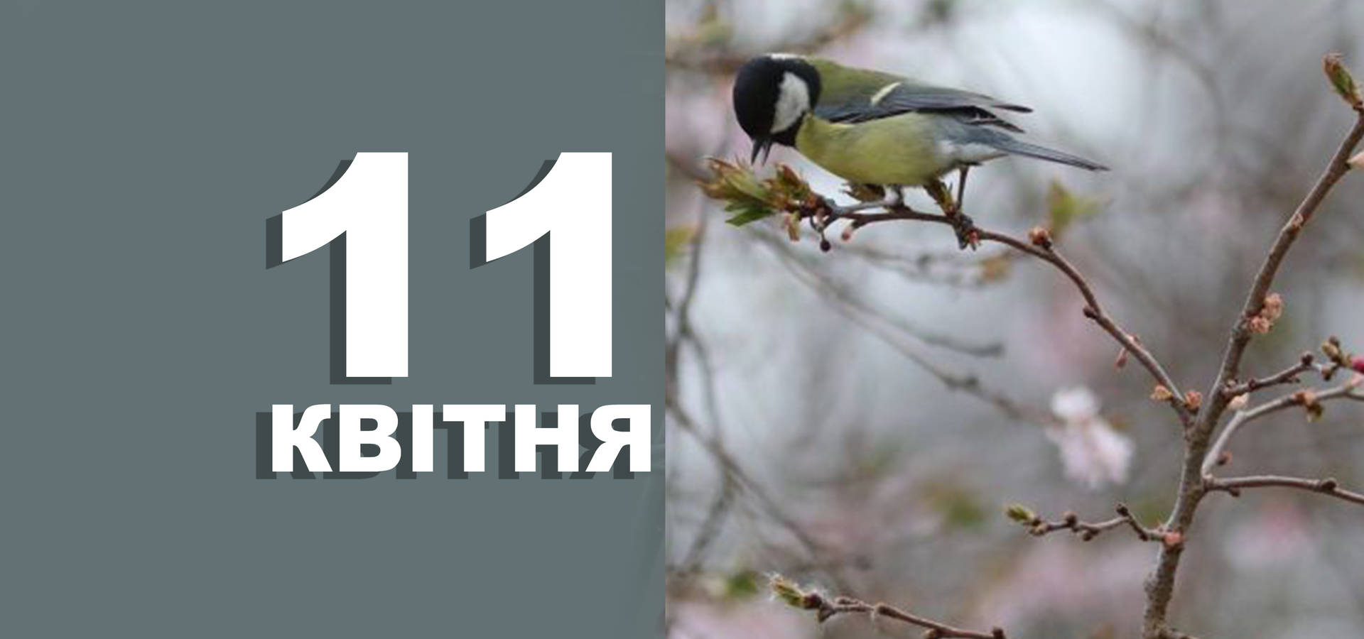 11 квітня. Що відзначають у цей день та прикмети