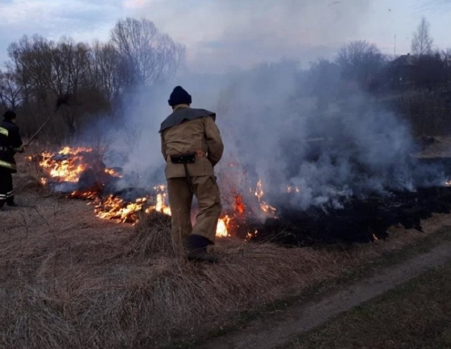 За спалювання залишків рослинності, сухої трави та сміття - адміністративна та кримінальна відповідальність