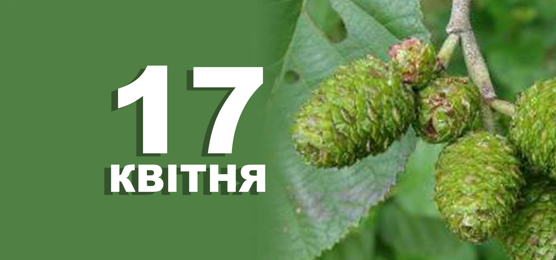 17 квітня. Що відзначають у цей день та прикмети