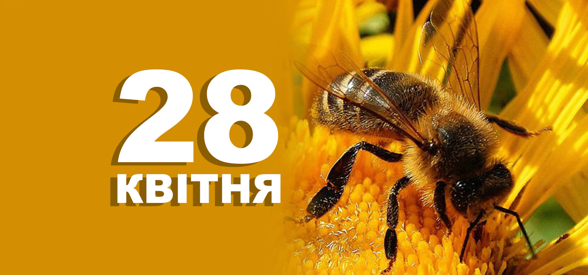 28 квітня. Що відзначають у цей день