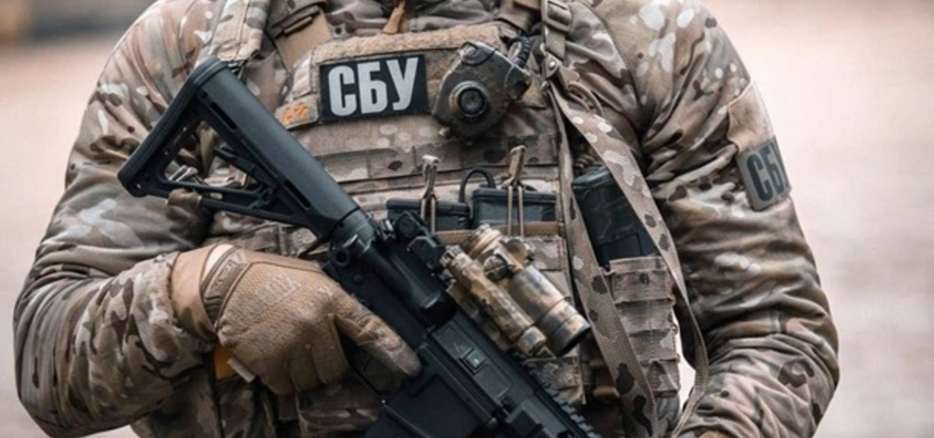 СБУ запобігла диверсії, затримавши брата екснардепа Царьова
