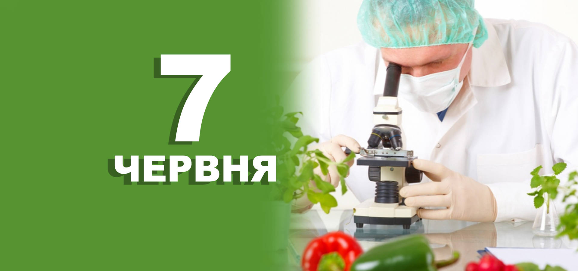 7 червня. Що відзначають в цей день