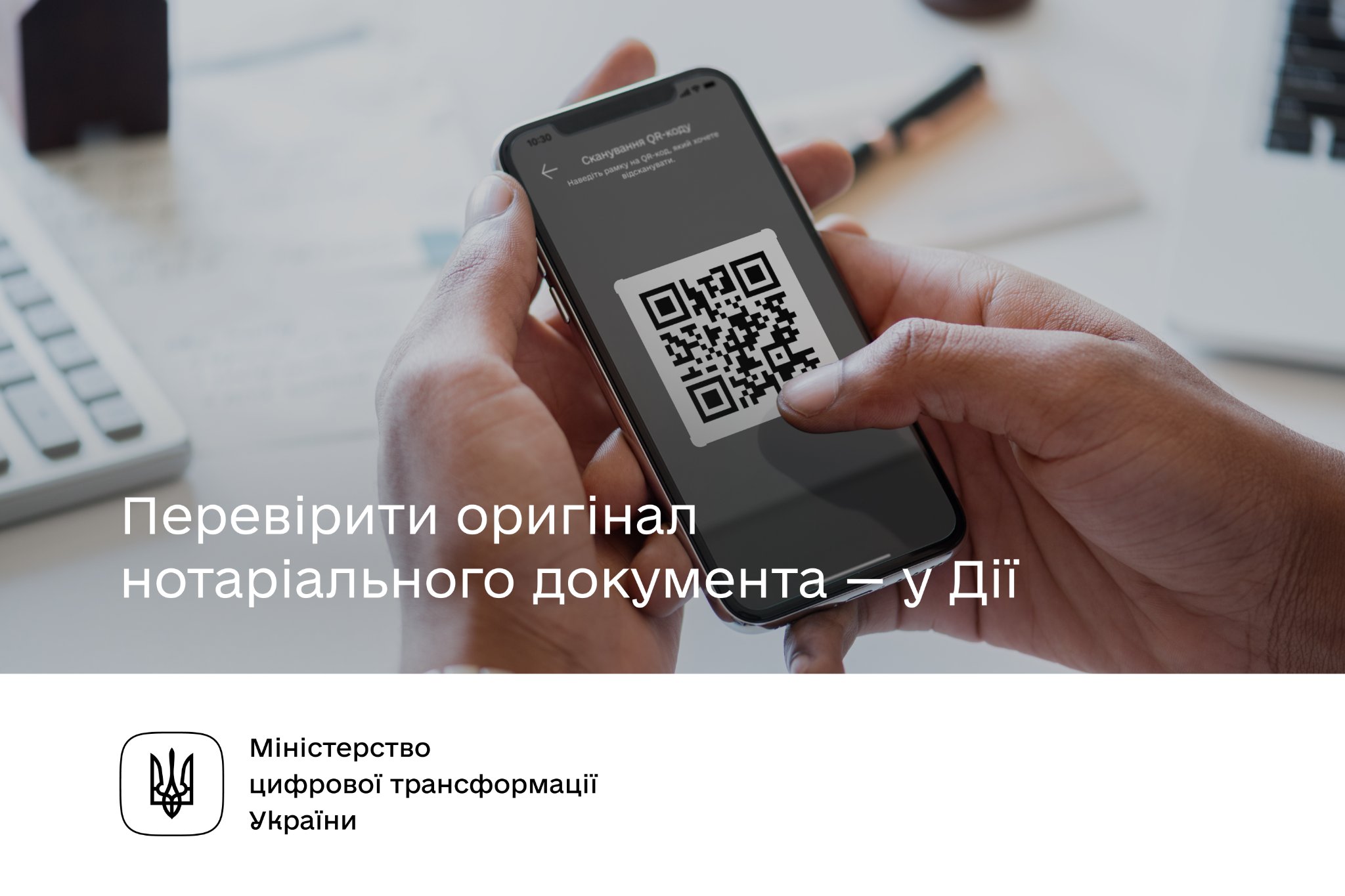 292209102 406649121504410 195436932114950471 n