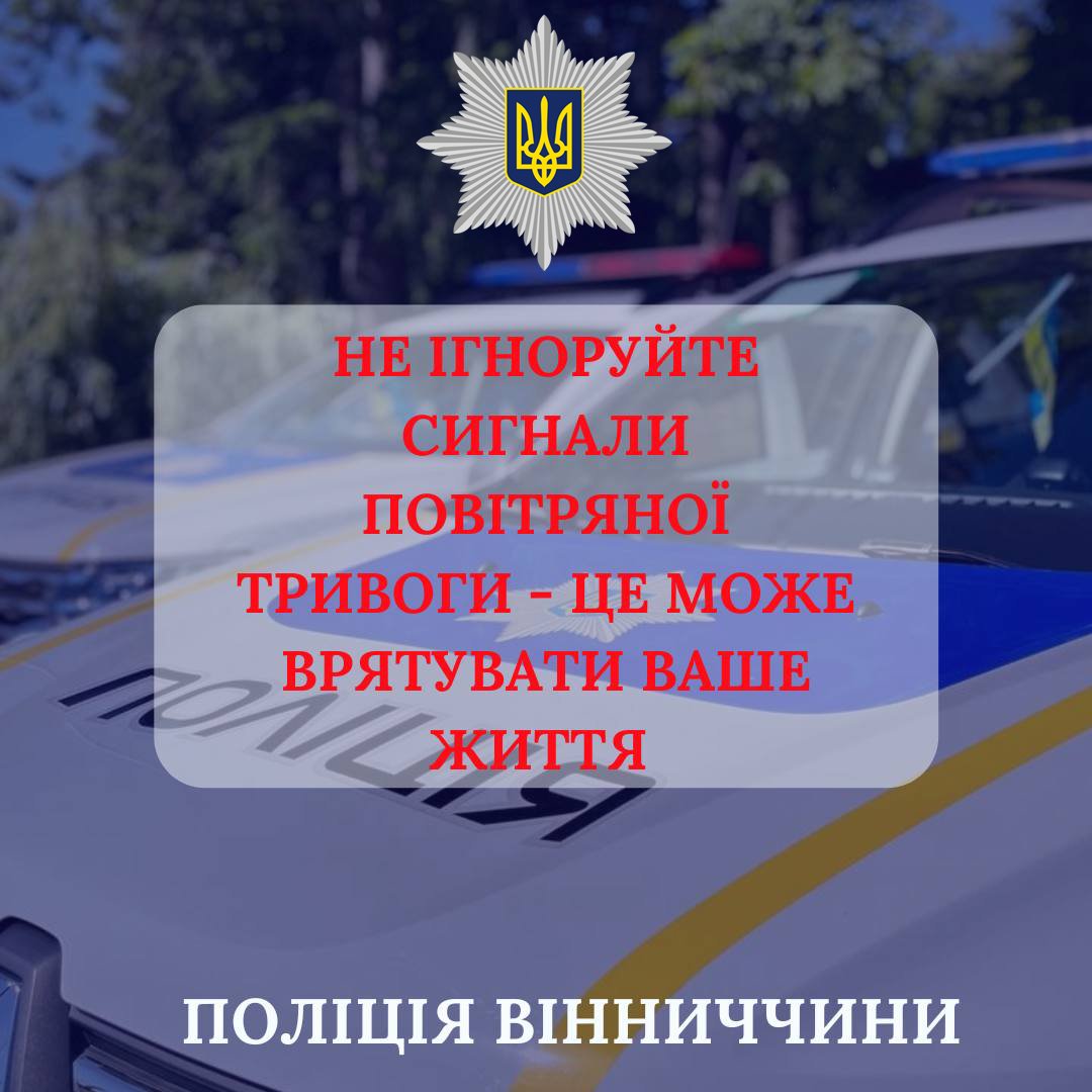 294540738 405940241574472 3611476592971144596 n